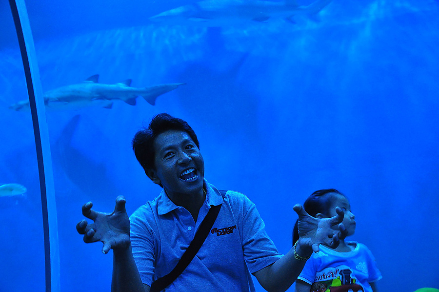 ป๊ามันมาอีกแล้ว :ohh: :ohh: :ohh:
ป๊าก็พยายามขู่มันอยู่ไงลูกเอ๋ย :grin: :grin: :grin:ไปเที่ยวกับลูก