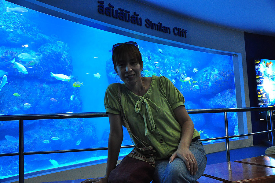 อ้าวตู้นี้ก็มีปลาพยูนด้วยแฮ่ะ :grin: :laughing: :laughing: :laughing: