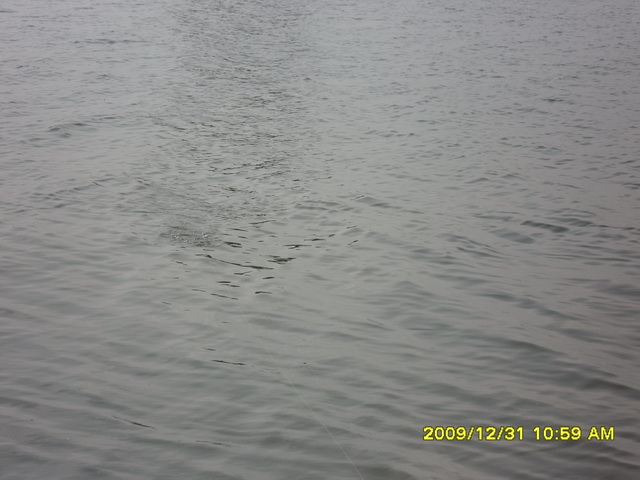 [q][i]อ้างถึง: BANKLONGSEE posted: 05-01-2553, 02:55:04[/i]

เอาอีกแ