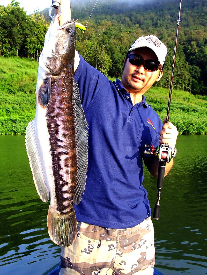 [q][i]อ้างถึง: pui_suphan posted: 05-01-2553, 15:10:32[/i]

+ตามชมครับ :smile: :cheer: :cheer: :ch
