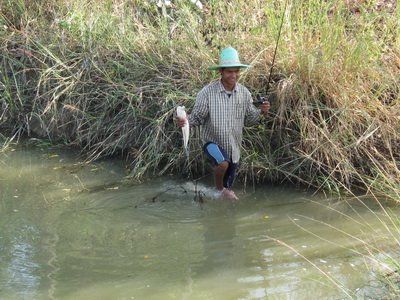 ยาวไป  ยาวไป   ทำแต้มหน้าดู  (เครือง)