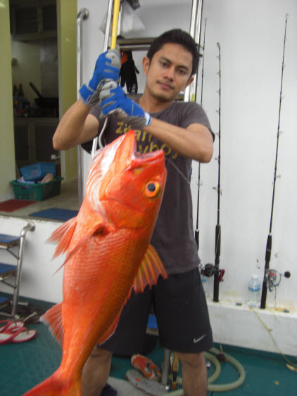 โดนdog tooth ถล่มตั้งแต่ตี่3ยันเช้า แต่ตก