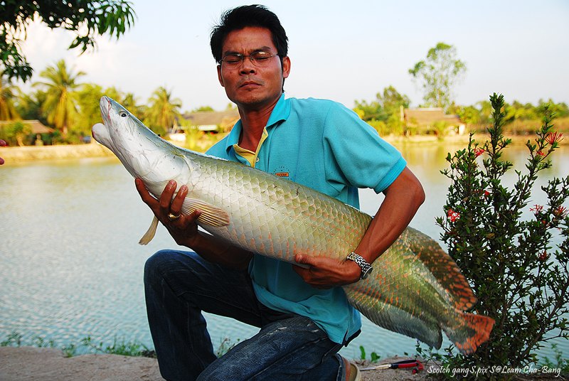 น้าตรวนบอก..ขออุ้มกลับเลยนะ  :cheer: :cheer:

  
