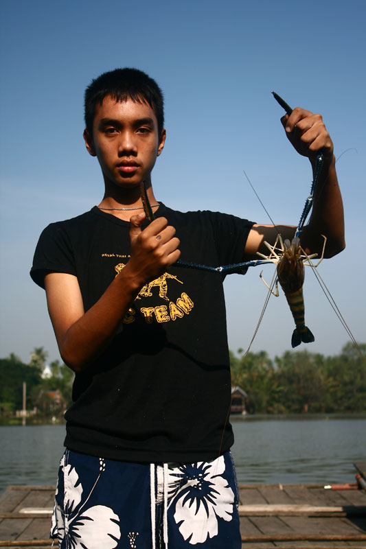 สวัสดีครับน้าbignun น้าตู่

กุ้งไข่จะสังเกตุง่ายครับ เพราะไข่จะอยู่นอกท้อง ซึ่งถ้ามีไข่ทางโครงการจ