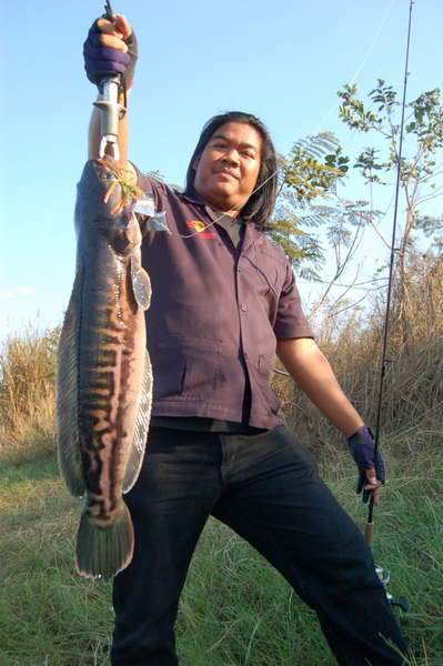 โปรเบรค อ่อน  มัน กลายเป็นแม่ค้าขายแหม  ตั้งแต่ เมื่อไหร่ หว่า   :laughing: :laughing: