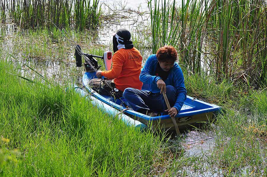 อิอิอิ...........นังแบมต้องช่วยยันท้ายเรือด้วยแล้วสิ :laughing: :laughing: :laughing: