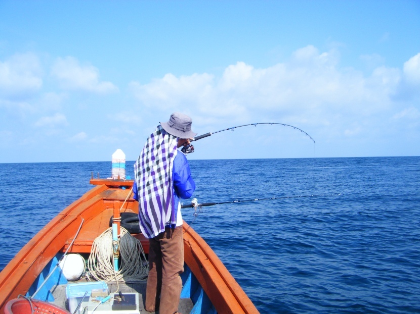  ปลาลากสายไปหัวเรือแล้ว