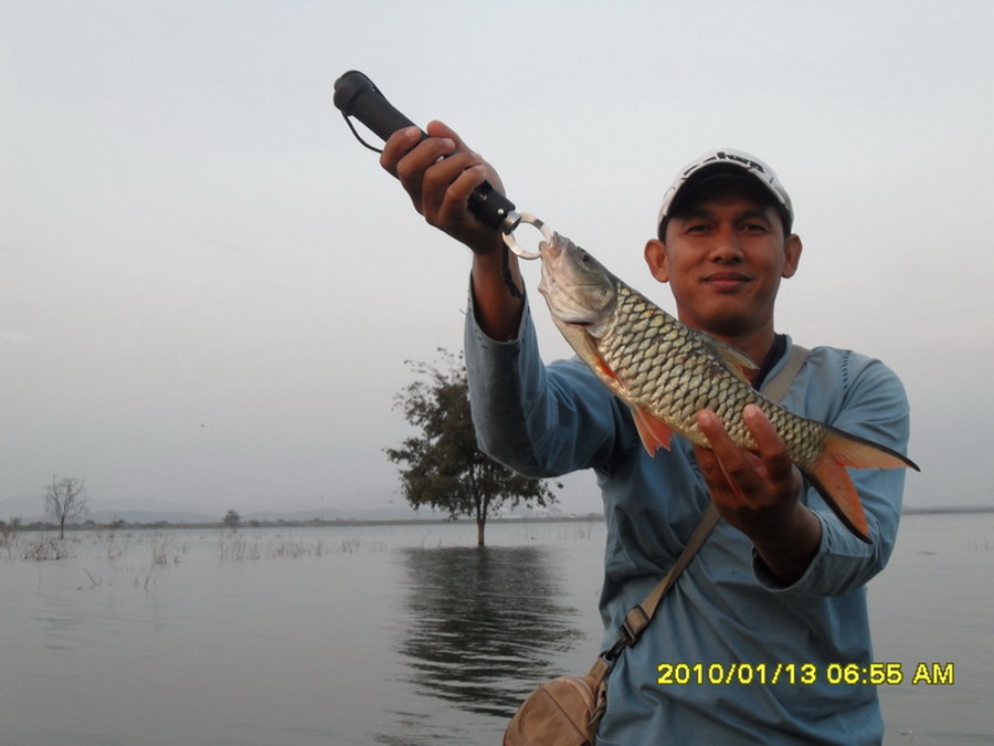 [q][i]อ้างถึง: phayao posted: 14-01-2553, 18:57:33[/i]


แม่มเอ้ย..