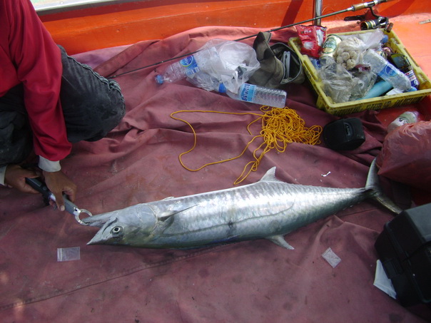ขึ้นมาบนเรือก็นิ่งสนิด