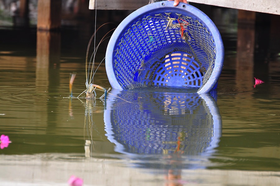 ป๊าดดดดดดดดดดดด............มีกุ้งใหญ่ด้วยเหรอเนี่ยยยยยยยยย :ohh: :ohh: :ohh:
