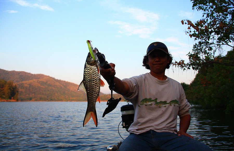หัวเรือได้ปลาไปแล้ว...ท้ายเรือก้อเอ