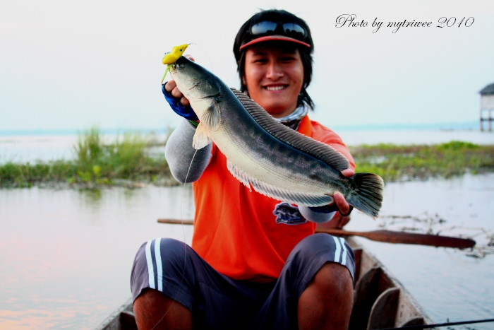 ตัวไม่ใหญ่แต่ไม่แห้ว :grin:
_______________________
คอยตามลุ้นว่าสุดท้ายแล้วปลาตัวนี้เป็นอย่างไรคร