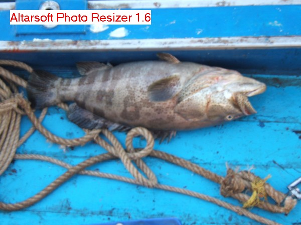 สวัสดีครับ น้าdeknarok น้าkapong น้าkengs1920 น้าอนุสรน์ น้าก้อนอิฐ น้าfishingjoke สวัสดีครับ :grin: