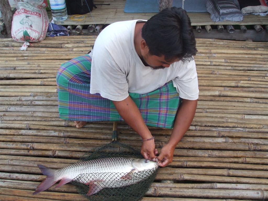 ปลดเบ็ดก่อนครับ