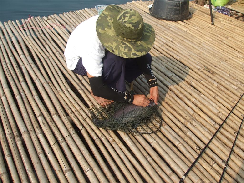 ยังไม่ทันผูกรถถังเสร็จ อีกาก็มาอีกตัว