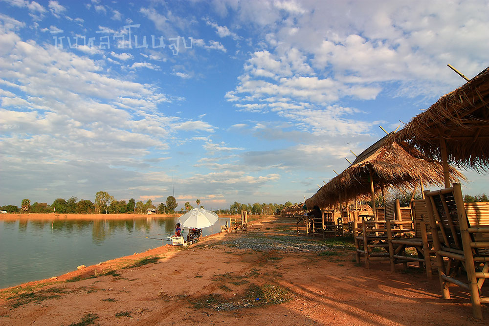 ศึกสายเลือด...ชิงหลิวหากับข้าว...