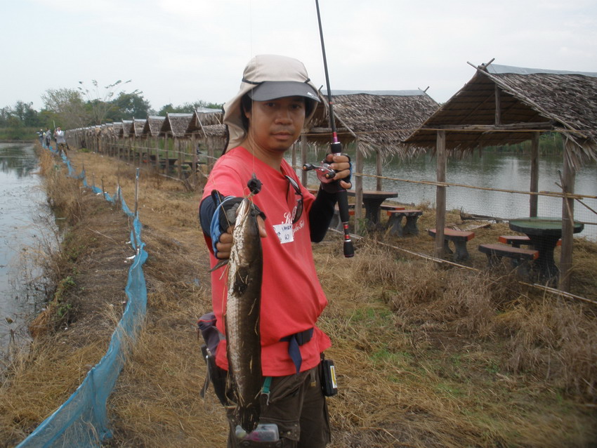 น้าหนูได้มาอีกตัว :grin: :grin: :grin: