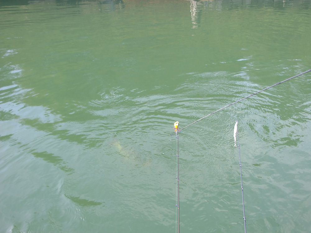 ไม่เสียความตั้งใจให้อยู่หัวเรือ น้