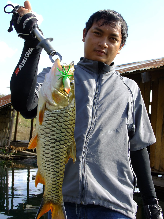 โทรฟี่ :grin: :cheer: