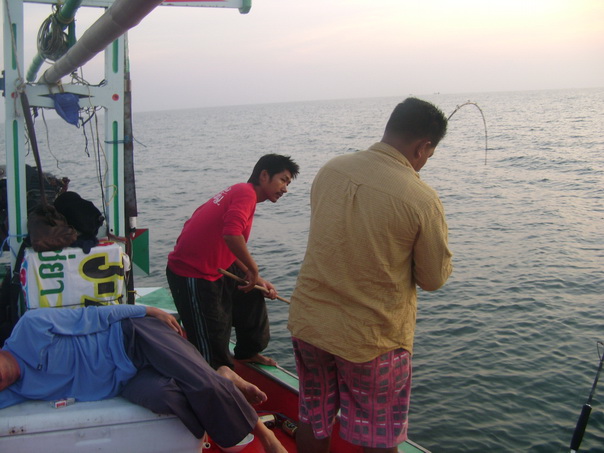 แต่ไต๋ต้นเริมไม่ชิวแล้วกลัวปลามุดท้องเรือ