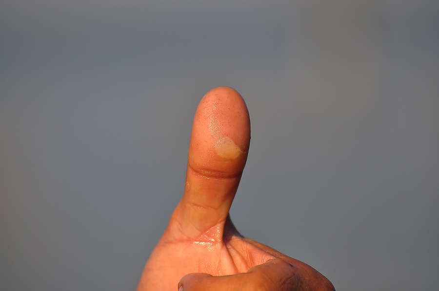 นายเด่ะชูหัวแม่มือให้ดู  :ohh: :ohh: :ohh:ผลงานของเหยื่อที่รีบทำแจกเป็นของรางวัลไงคร๊าบบบบบบบ
ของรา