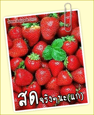 
 :cool: :cool: :cool:   กลัวซะที่ไหนล่ะพร้อมเข้าประชุม  :cheer: :umh: :ohh: