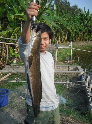 น้าหนู ............................. ขอหล่อสักหน่อย  :love: 