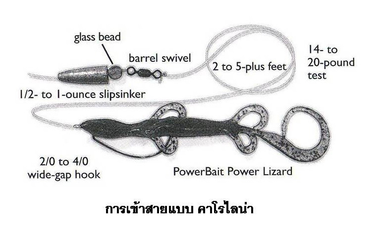 [q][i]อ้างถึง: tia posted: 31-01-2553, 20:51:54[/i]

สวัสดีครับ 
