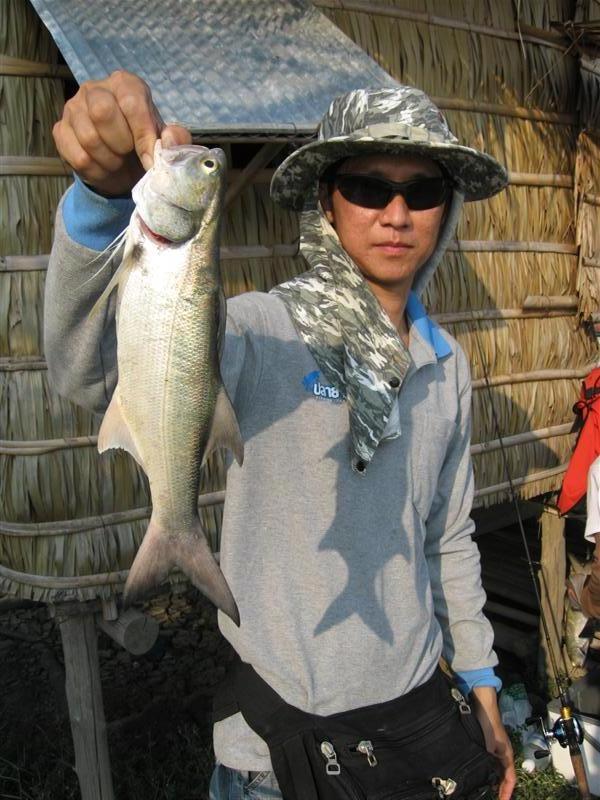 จัดไปอีกบานครับ  :cool: :cool: :cool: :cool: :cool: :cool: