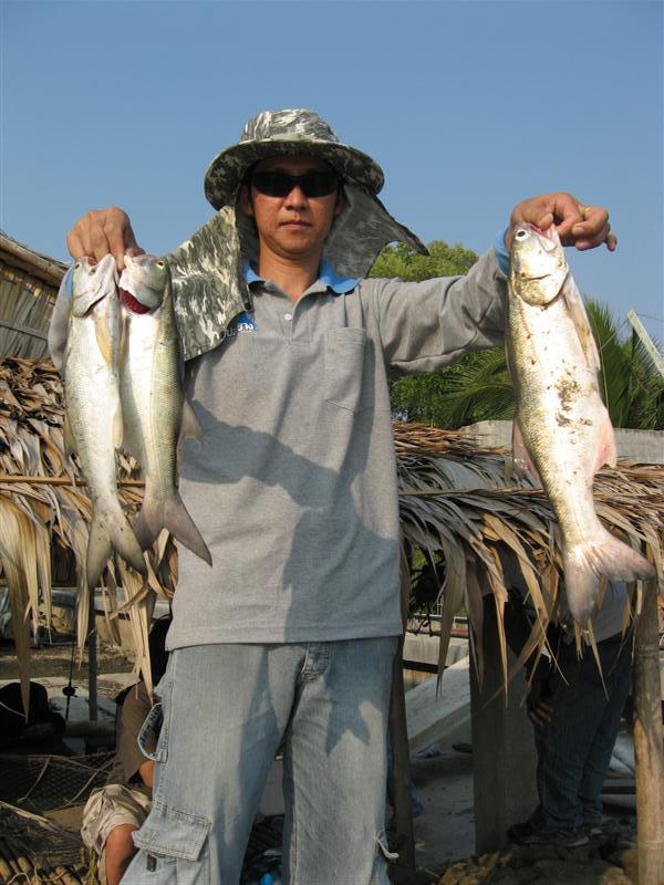 อีกบานจ้า  :cool: :cool: :cool: :cool: :cool: :cool: :cool: :cool:
