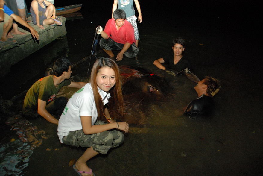 เทียบกะตัวนู๋

ตอนนี้ในภาพเป็นการหันตัวปลาออกกลางแม่น้ำ

