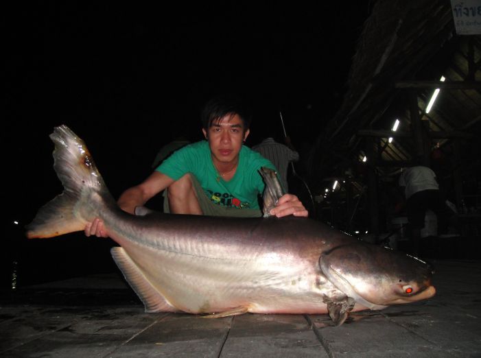 [q][i]อ้างถึง: amm posted: 01-02-2553, 14:20:58[/i]

แหม...ผมก็นึ