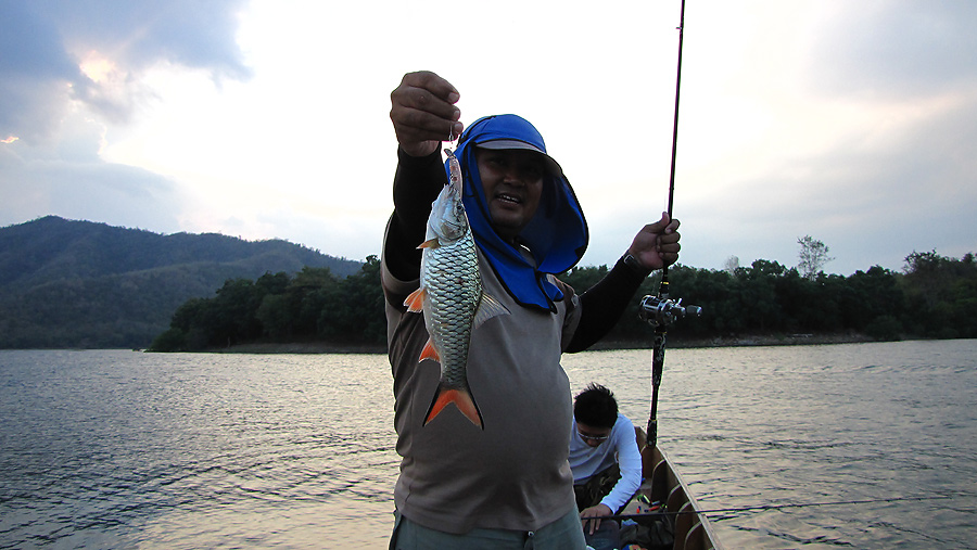  [q]lovefishing[/q]หวัดดีครับ..........ขอบคุณมากครับ
