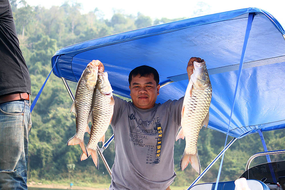 ไม่ได้มีตัวเดียวซ๊ะด้วยสิ  ...  ยังมีอีกหลายตัวเลยนะนั่นในเรือหนะ  :cheer: :cheer: :cheer: :cheer:

