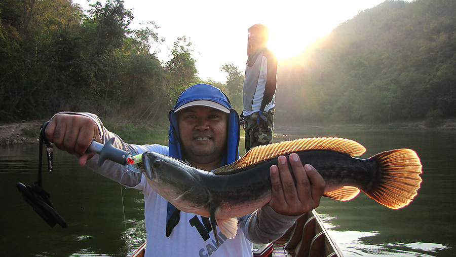 
   อุ้ย..........ดูจากรูปนี้....ข้างหลัง ลุกเป็นไฟไปแล้ว.........555

   สวยคร๊าบบบบบบบบบ.......