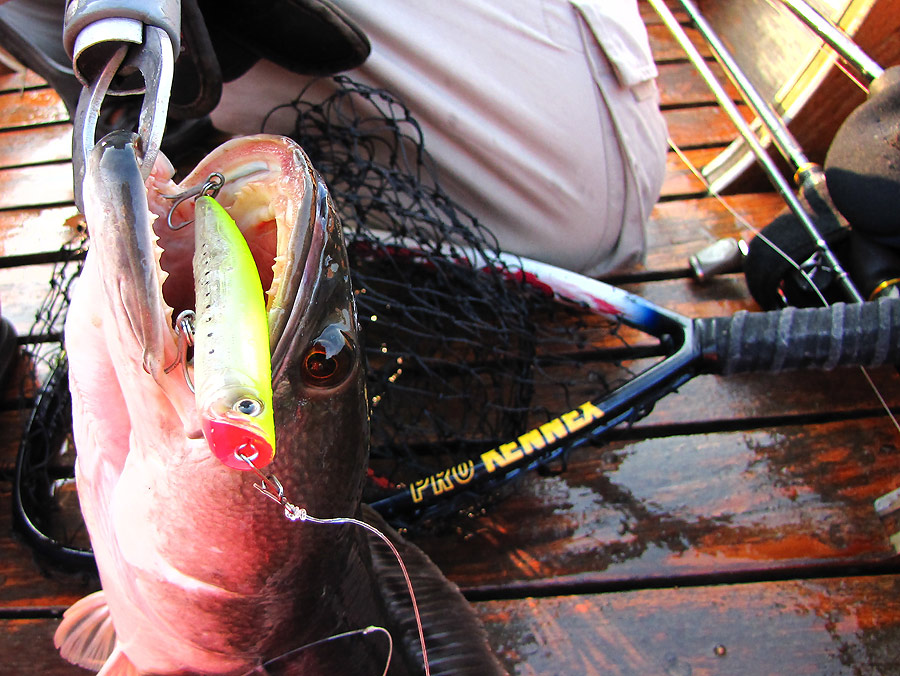  [q]nonm_actionlure[/q]หวัดดีครับ.........เล่นเอาเมียไม่ให้ไปค้างคืนที่ไหนเลยละคร๊าบบบบบบบบบ....
__