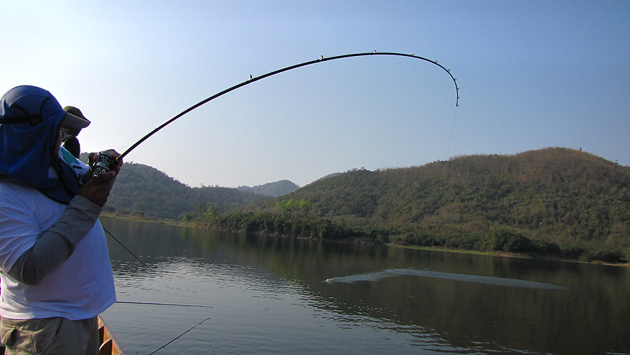  [q]nonm_actionlure[/q]มาเร็วววววววว.........เอาชุดชะโดมาด้วยนะ...มีอีกหลาย
 [q]ซะแกร๊ก[/q]รับทราบค