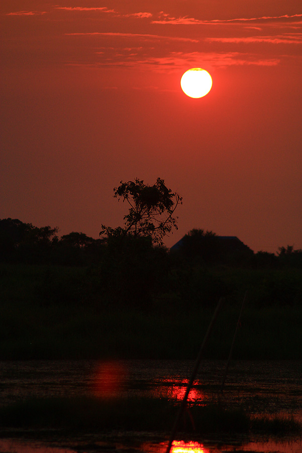 รอดตัวไปแระ ถ่ายรูปเล่นได้มั่ง แต่แสงก้อน้อยเต็มที...

วันนี้ใช้เลนส์ 70 - 300 ไม่มีกันสั่น แสงน้อ