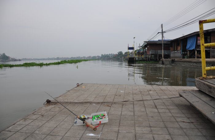 เป็นโป๊ะจอดเรือร้างครับไม่มีเรือมาจอดนานมากแล้ว ประจวบกับตรงนี้เป็นคุ้งน้ำพอดีจึงมีปลาล่าเหยื่อมากมา