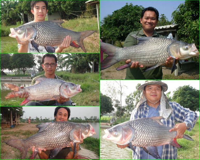 พฤหัสนี้ไปกัปตันแน่นอนจร้า น้าชัย 