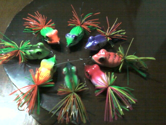  กบ fish on กับช่อนล้วนๆ