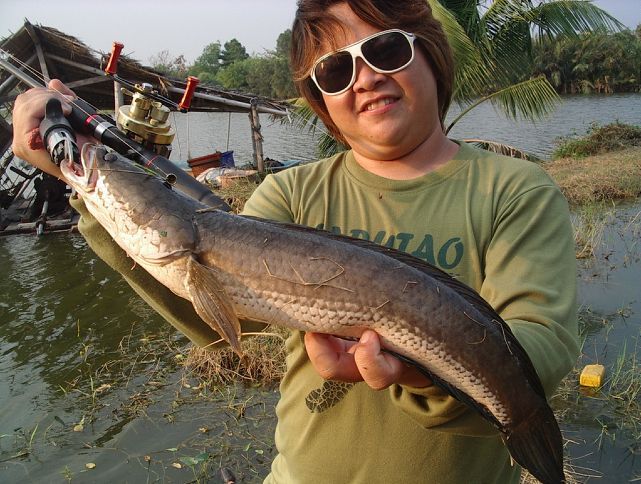 อีกซักรูปคับ  :laughing: :laughing: :laughing: