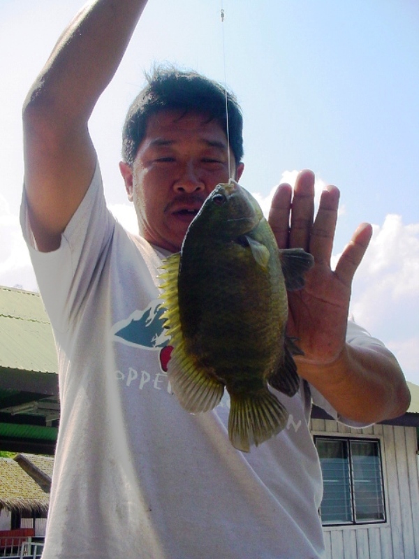 ขนาดเทียบเท่าฝ่ามือ เองคร๊าบบบบบบบ