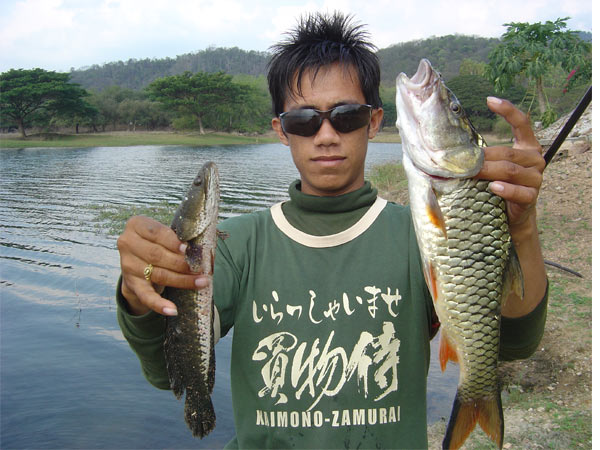อันนี้ด้วยครับ :smile: