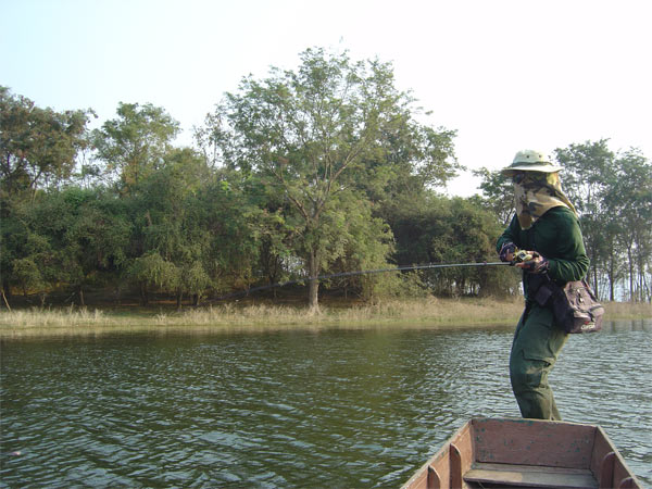 เปลียนมาตีบนเรือบ้างครับ ได้ผลเหมือนกัน :love: