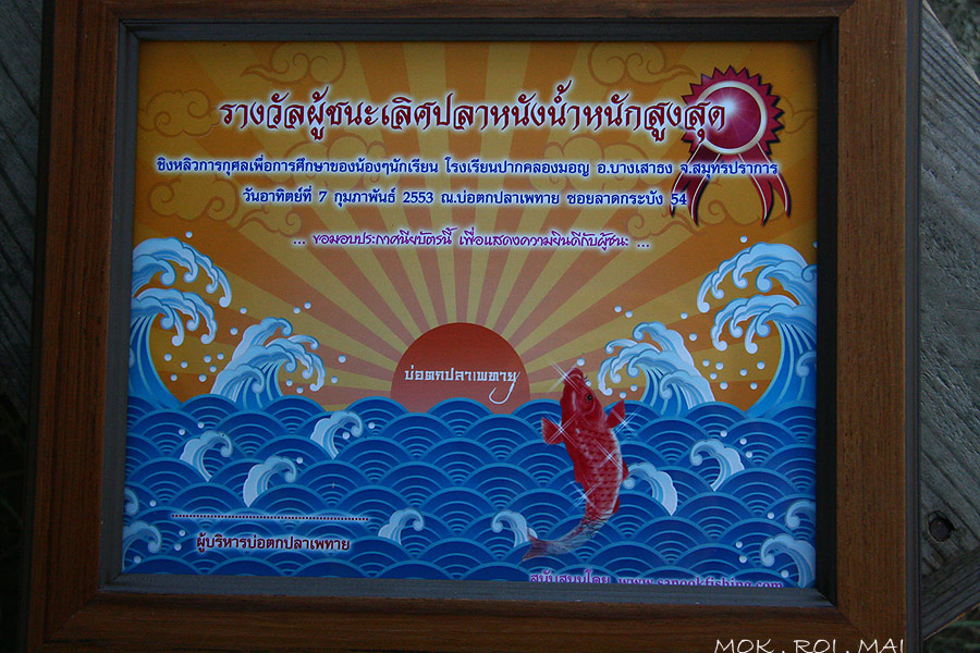 บัตรประกาศสำหรับรางวัล ปลาใหญ่,ปลา