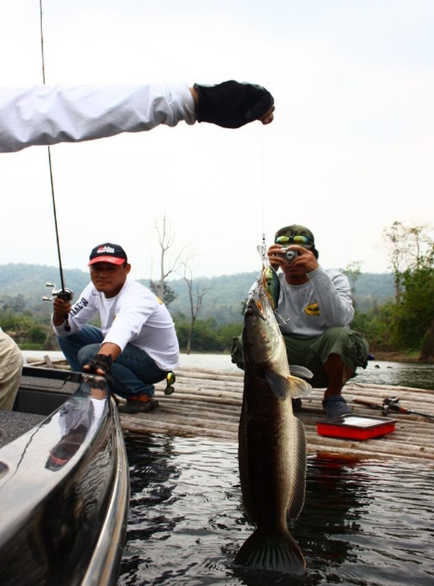 [q][i]อ้างถึง: Mong_Actionlure posted: 08-02-2553, 00:06:38[/i]

+หวัดดี