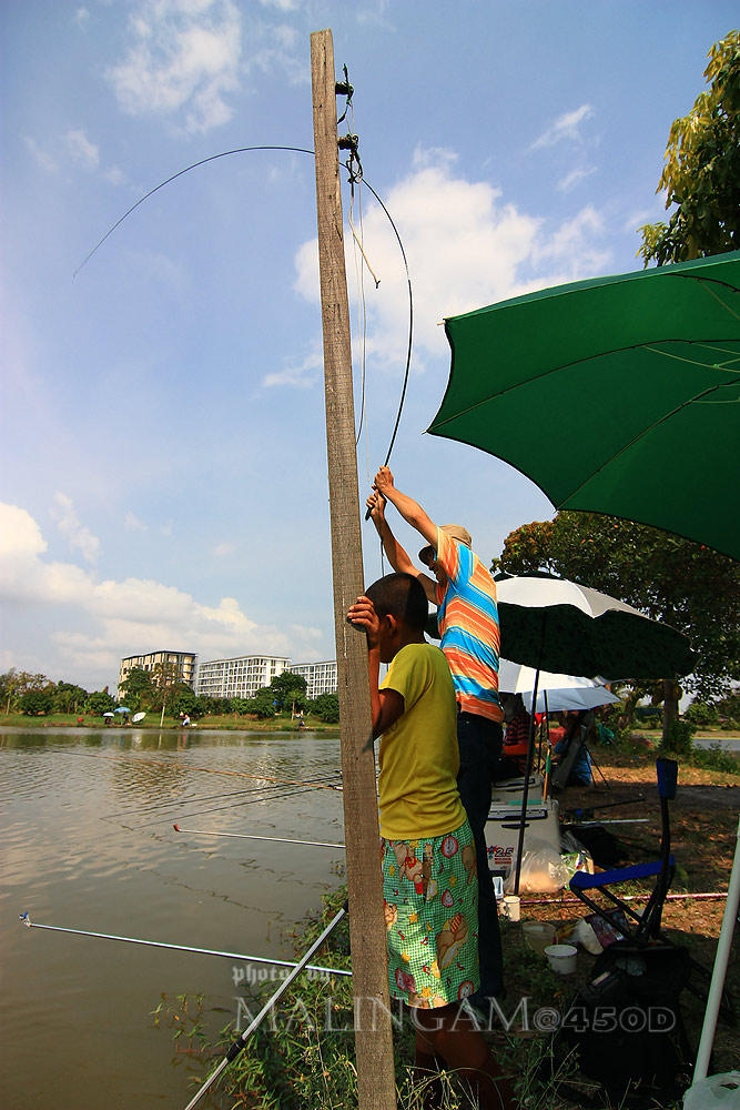 เสียดาย...มีเสามากั้น   แต่รู้สึกช่วง