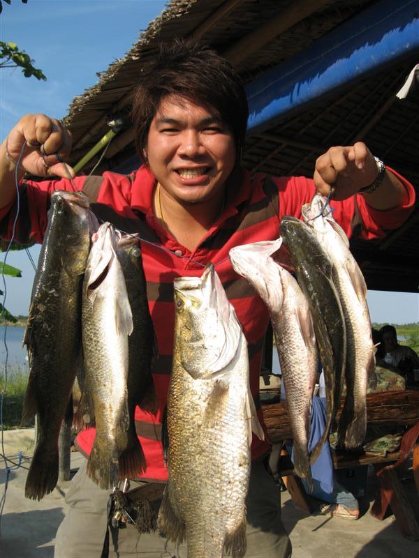เอ้า เอารูปนี้ไปทำโลโก้ใหม่คร๊าบ น