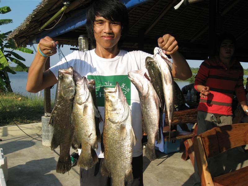 คนต่อมาก้อ น้าไวท์ คร๊าบ  :cool: :cool: :cool: :cool: :c
